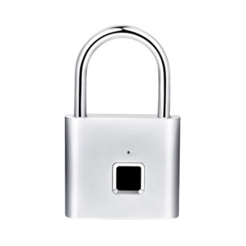 Λουκέτο Πέταλο με Δακτυλικό Αποτύπωμα Ασημί 11189