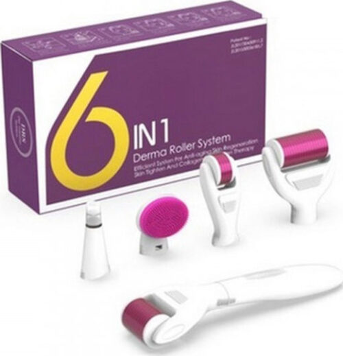 Derma Roller Σετ 6 σε 1 Βελόνες Τιτανίου 0.5-2mm