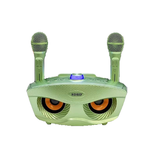 Σύστημα Karaoke με Ασύρματα Μικρόφωνα SD-306 σε Πράσινο Χρώμα